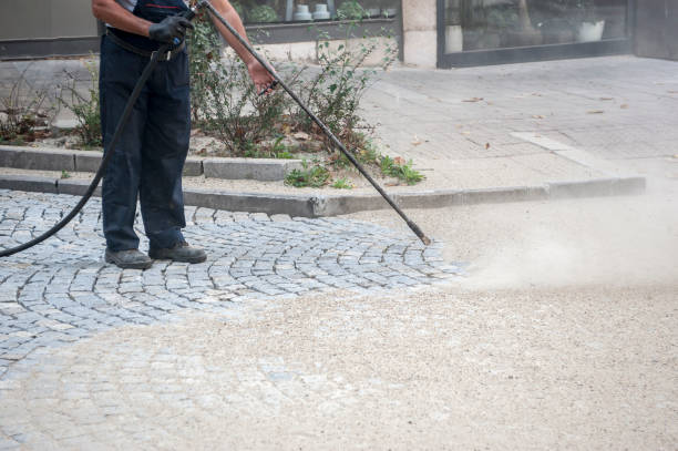 Best Sidewalk and Walkway Cleaning  in Fris, CO