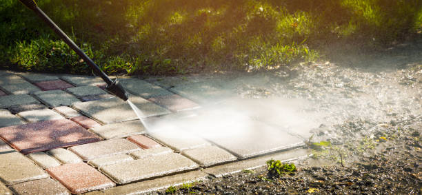 Best Gutter Cleaning  in Fris, CO